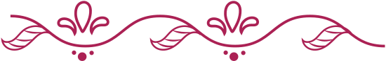 decorative horizontal line